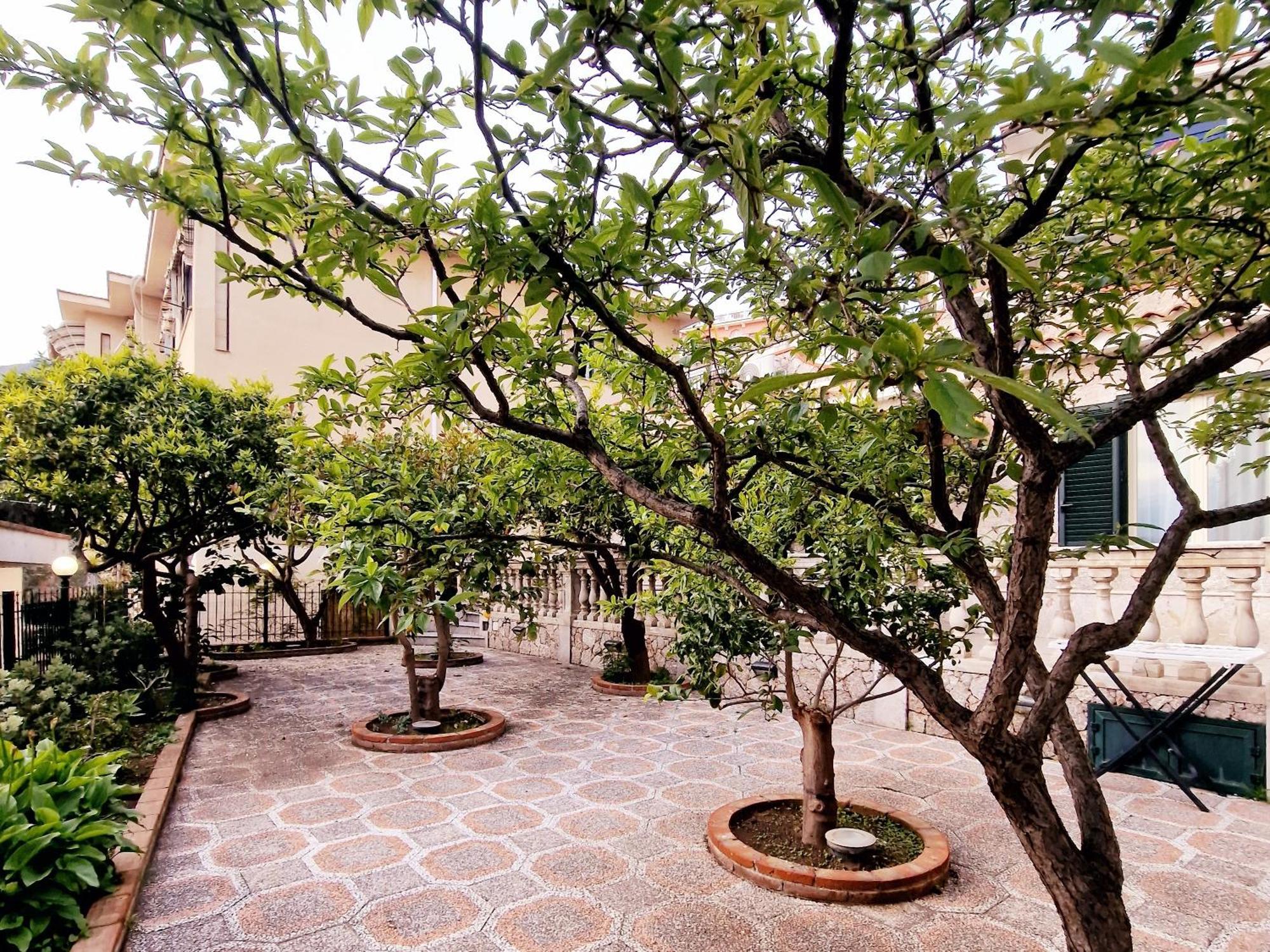 Donna Rosa - Your In * Taormina